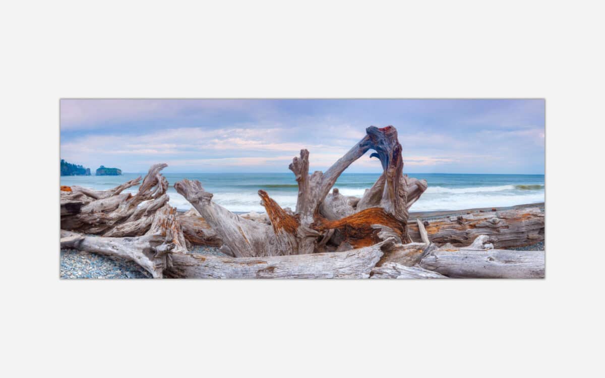 A panoramic photograph of a serene beach scene with a weathered driftwood formation in the foreground and ocean waves in the background under a cloudy sky.