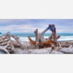 A panoramic photograph of a serene beach scene with a weathered driftwood formation in the foreground and ocean waves in the background under a cloudy sky.
