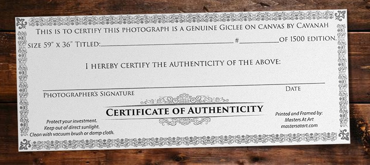certificate of authenticity masters at art