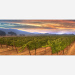 Wine Country