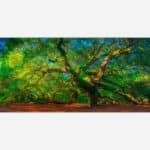 A vibrant photograph of a grand, ancient tree with a sprawling canopy of green foliage in a serene forest environment.