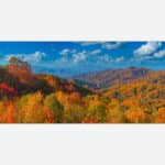 Panoramic autumn landscape with a vibrant display of fall colors on forested mountains under a blue sky with clouds.