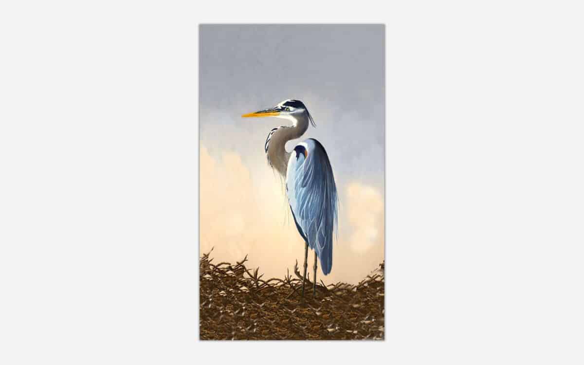 A realistic painting of a great blue heron standing in a marshy land with a soft, warm sunset in the background.