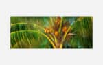 Close-up of a coconut palm tree with lush green fronds and a cluster of brown coconuts against a blurred background.