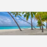 A serene beach scenery with palm trees, a hammock hanging between them, and a beautiful turquoise ocean under a blue sky.