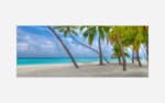 A serene beach scenery with palm trees, a hammock hanging between them, and a beautiful turquoise ocean under a blue sky.