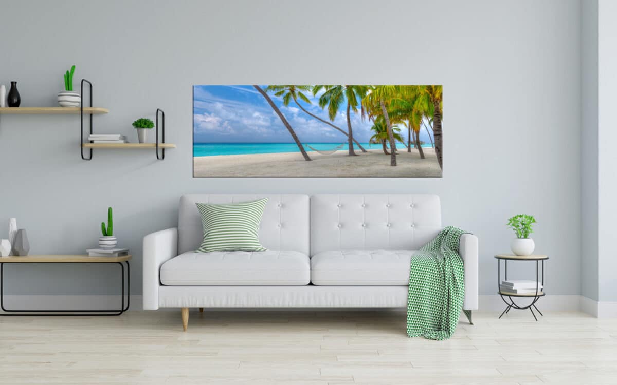 Colors of Paradise 4