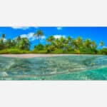 A vibrant split view image of a tropical beach with clear blue sky and palm trees above water and a glimpse of the underwater with the sandy sea floor.