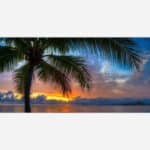 Art image depicting a vivid sunset over the ocean with a silhouette of a palm tree in the foreground.