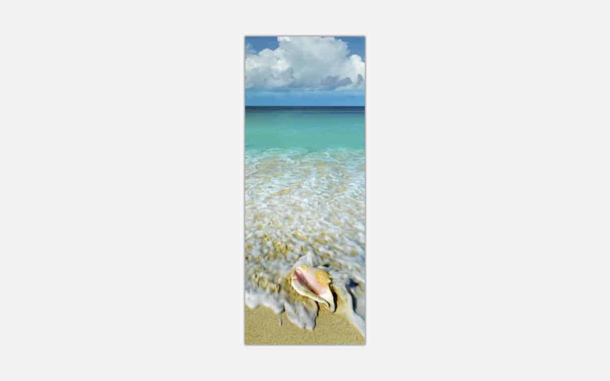 A photograph of a sea shell on a sandy beach with clear turquoise ocean water and a partly cloudy blue sky in the background.