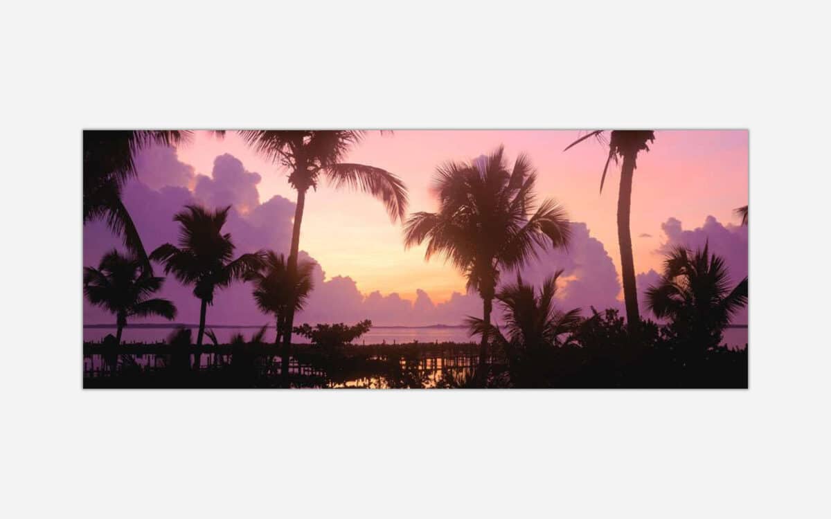A scenic photograph of a tropical sunset with silhouetted palm trees against a vibrant purple sky over a calm ocean.