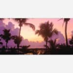 A scenic photograph of a tropical sunset with silhouetted palm trees against a vibrant purple sky over a calm ocean.
