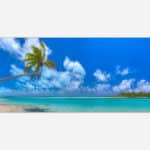 An artwork depicting a serene tropical beach scene with clear blue water, a sandy shore, palm trees and a bright blue sky with fluffy white clouds.