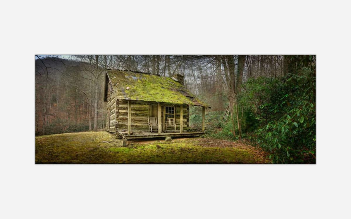 An old moss-covered rustic cabin in a forest clearing with bare trees and green underbrush.