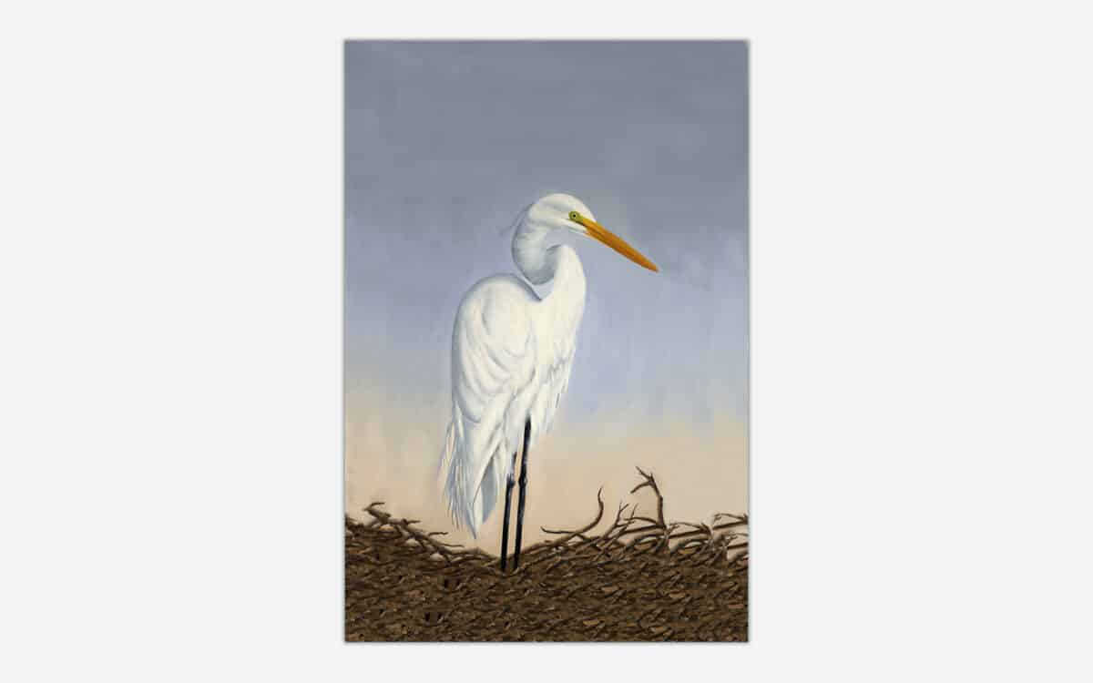 A detailed painting of a great egret standing on driftwood against a soft, warm sky.