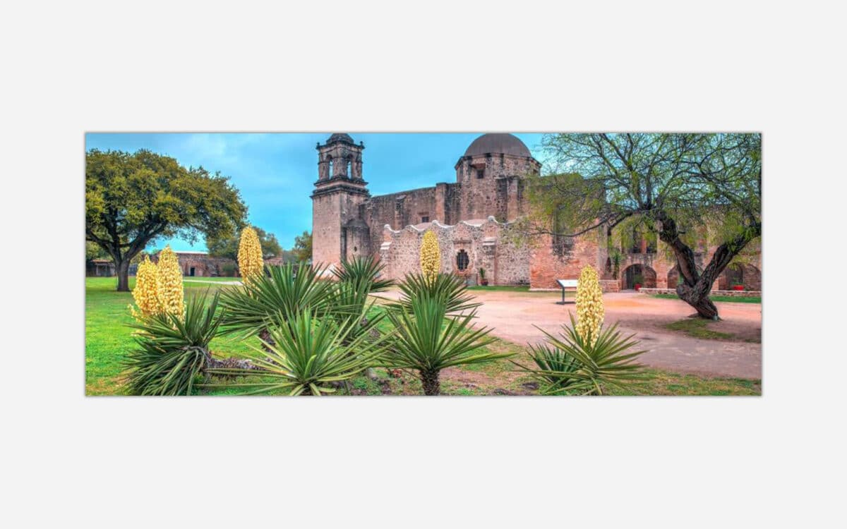 Alt text: Panoramic view of a historic mission with Spanish architectural elements, surrounded by yucca plants and trees in San Antonio, Texas.