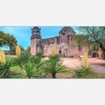 Alt text: Panoramic view of a historic mission with Spanish architectural elements, surrounded by yucca plants and trees in San Antonio, Texas.