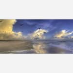 A panoramic photograph of a tranquil beach scene with flying birds, waves lapping on the shore, and a colorful sunset in the background.