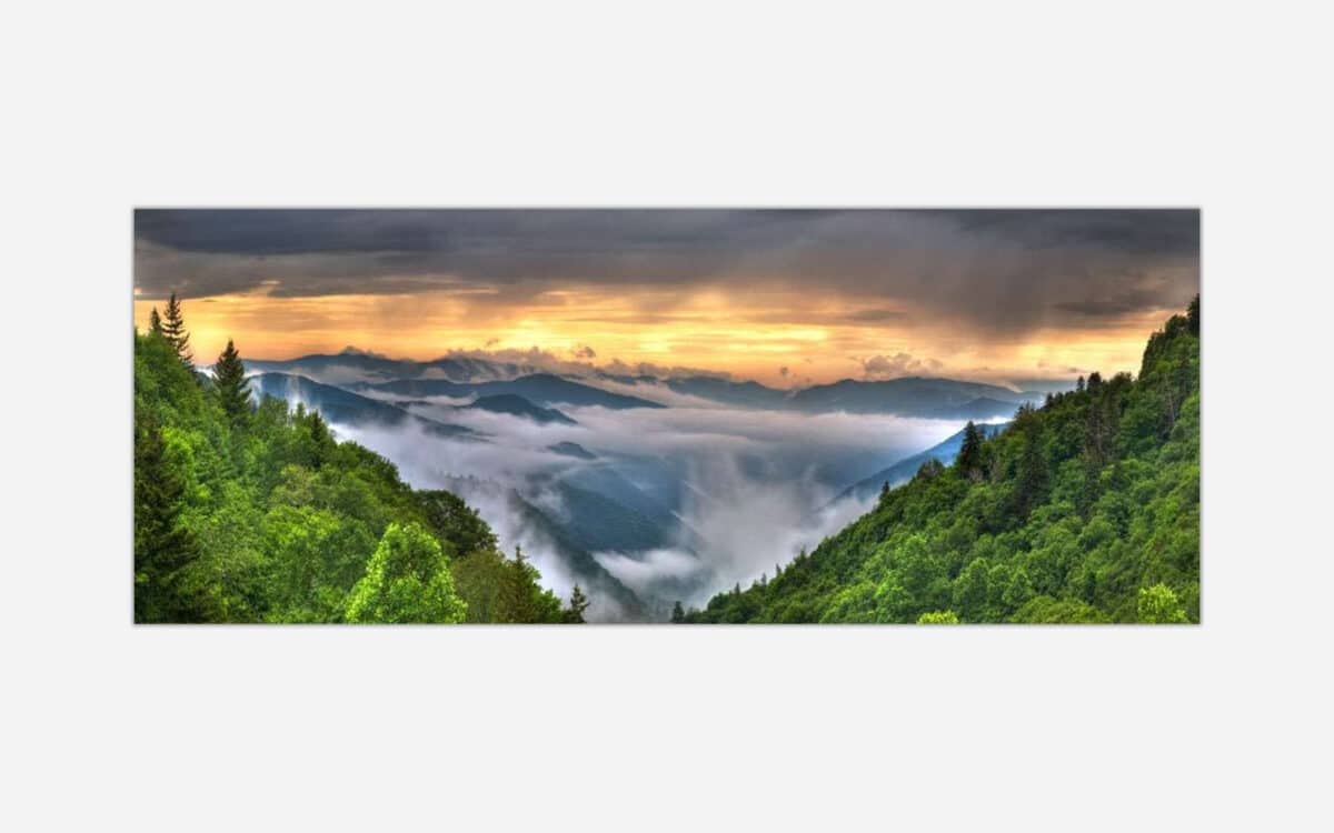 A panoramic landscape photograph of a sunrise over a misty mountain range with lush green forest in the foreground.