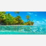 Alt text: Artistic representation of a tropical paradise with clear turquoise waters, white sandy shoreline, and dense palm trees under a bright blue sky.