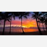 A vibrant art print of a tropical beach sunset with silhouetted palm trees against a colorful sky.