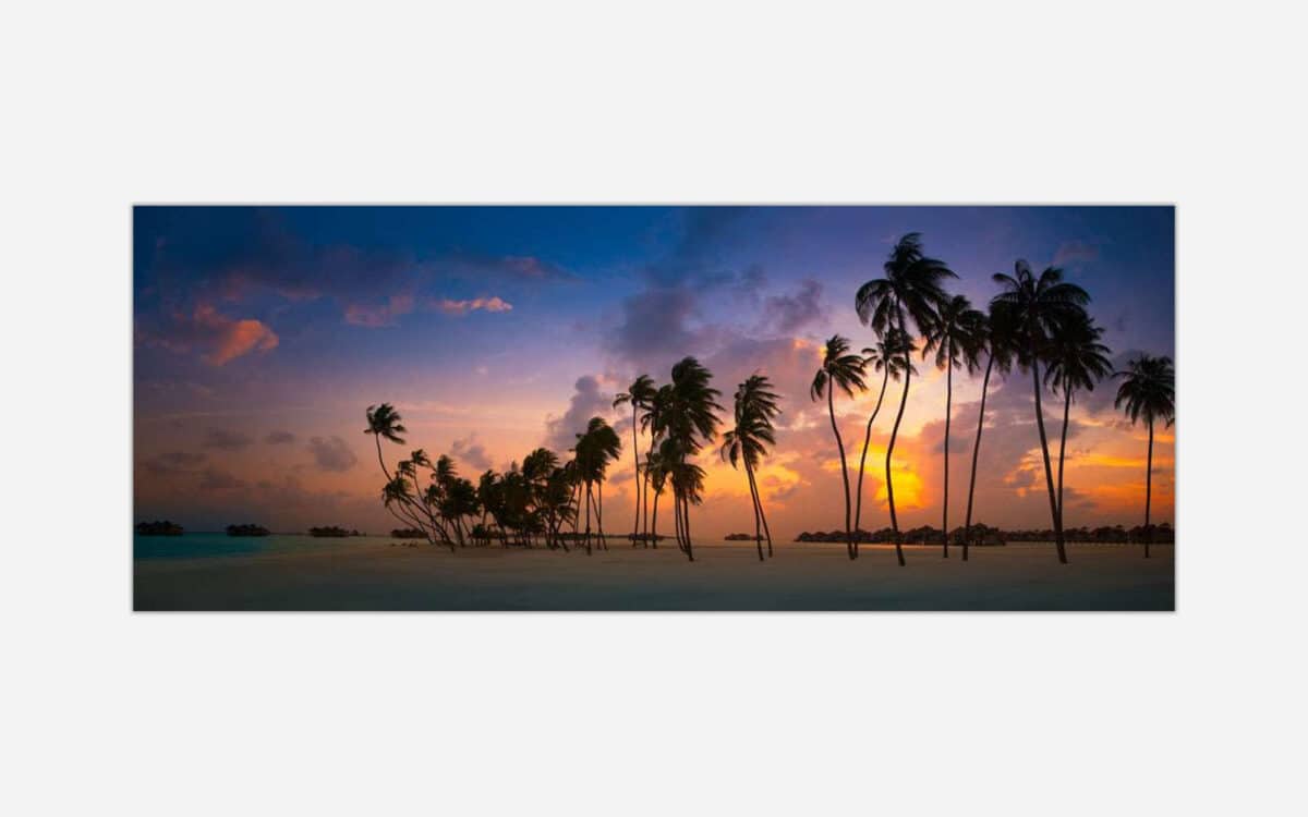 A photograph of a tranquil beach scene with palm tree silhouettes against a vibrant sunset sky.
