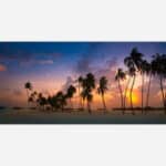 A photograph of a tranquil beach scene with palm tree silhouettes against a vibrant sunset sky.