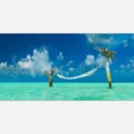 A panoramic wall art of a hammock tied between two palm trees over crystal clear turquoise water under a blue sky with fluffy clouds.