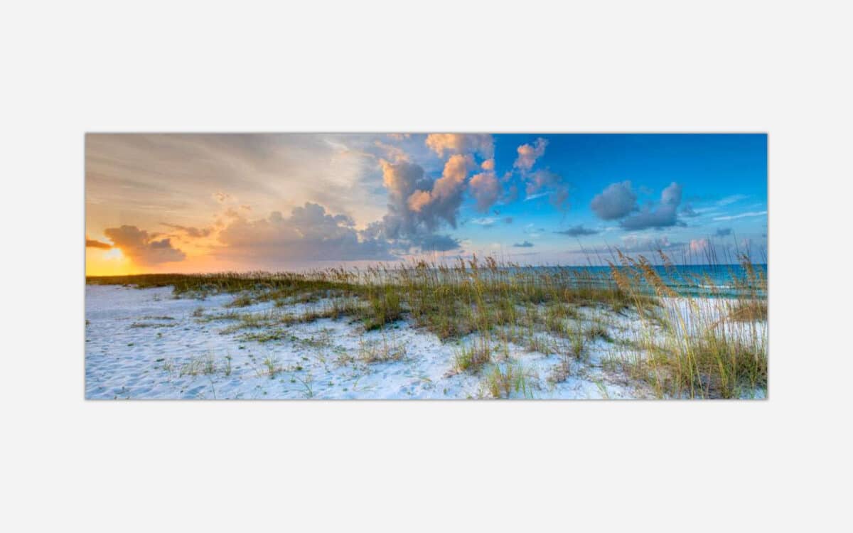 A panoramic view of a beach at sunset with dune grass in the foreground and a colorful sky above the horizon.