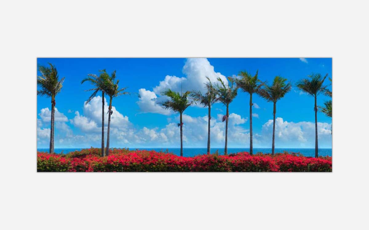 A panoramic canvas art print of a coastal scene with tall palm trees against a bright blue sky, overlooking an ocean with red flowers in the foreground.