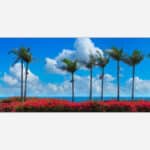 A panoramic canvas art print of a coastal scene with tall palm trees against a bright blue sky, overlooking an ocean with red flowers in the foreground.