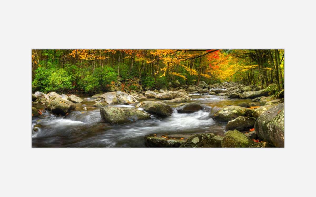 A tranquil autumn landscape photograph featuring a forest stream with flowing water over river rocks and trees with fall colors.