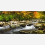 A tranquil autumn landscape photograph featuring a forest stream with flowing water over river rocks and trees with fall colors.