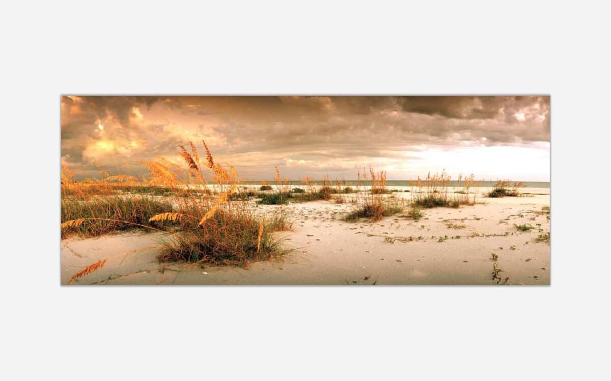 A panoramic photograph of a tranquil beach at sunset with golden light illuminating sea oats and dune grass, with a dramatic cloudy sky above the horizon.