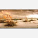 A panoramic photograph of a tranquil beach at sunset with golden light illuminating sea oats and dune grass, with a dramatic cloudy sky above the horizon.