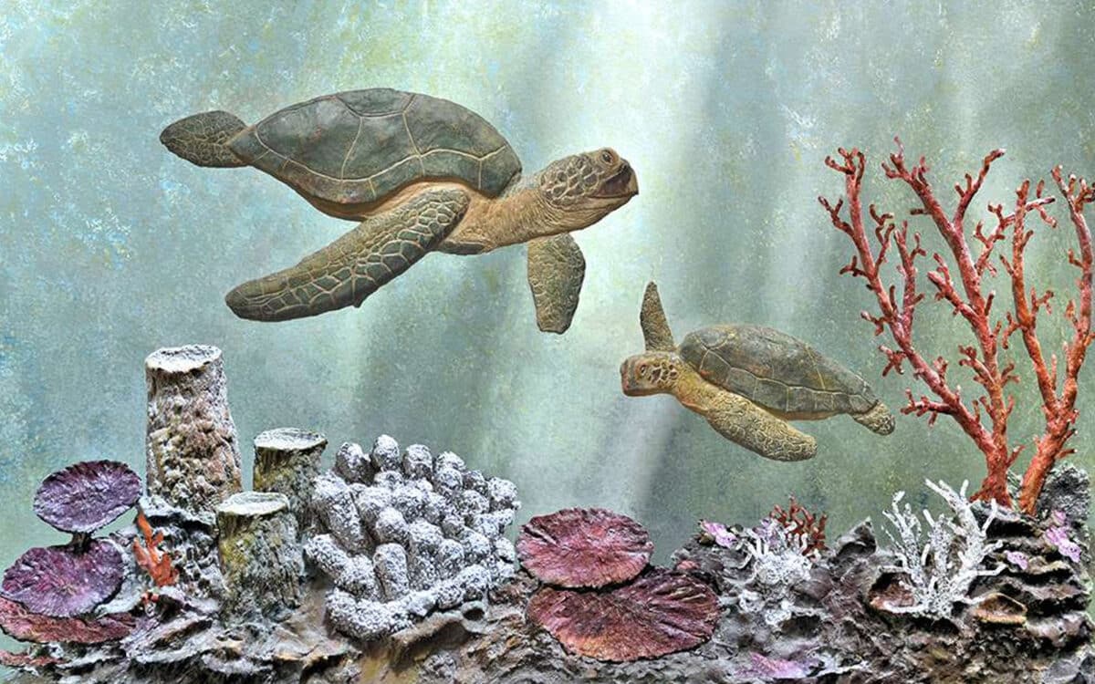 A digital painting of two sea turtles swimming above a colorful coral reef with a blue water backdrop.
