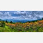 Panoramic landscape photograph of a vibrant mountainous area with lush greenery and colorful wildflowers, accompanied by a cloud-filled sky.