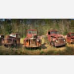Panoramic photograph of a collection of old, rusty vintage trucks abandoned in a forest clearing.