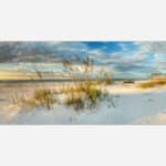 A panoramic artwork of a serene beach scene with sand dunes, beach grass, a calm sea in the distance, and a cloudy sky in warm tones.