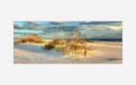 A panoramic photograph of a serene beach scene with sand dunes and coastal grass under a sunset sky.