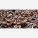 A close-up photo of a dense collection of various colorful seashells covering the ground.