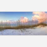 A photograph of a tranquil beach scene with sand dunes, sea oats, and a pastel-colored sky during sunset.