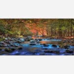 A photographic print depicting a serene autumn landscape with a flowing stream surrounded by colorful trees and scattered rocks.