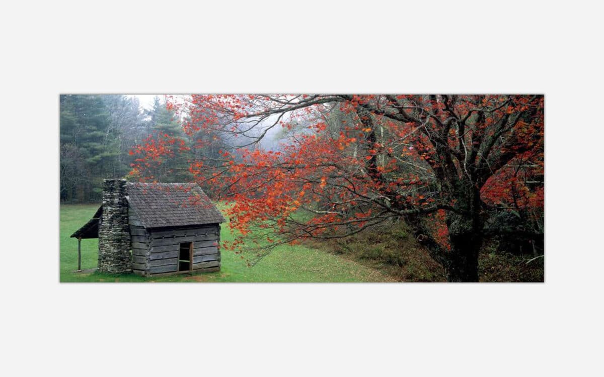 An old rustic cabin surrounded by a forest with red autumn leaves under a misty sky.