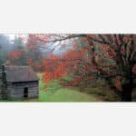 An old rustic cabin surrounded by a forest with red autumn leaves under a misty sky.