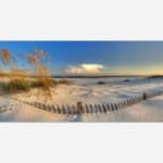 An image of a serene beach scene with sea oats, a wooden fence, white sandy dunes, and a beautiful sunset sky.