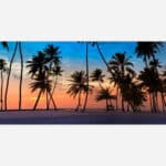A tranquil image of palm tree silhouettes against a vibrant sunset sky on a tropical beach.