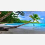Alt text: "A vibrant art print of a serene tropical beach with crystal-clear turquoise waters, a single palm tree with a tire swing, and a bright blue sky."