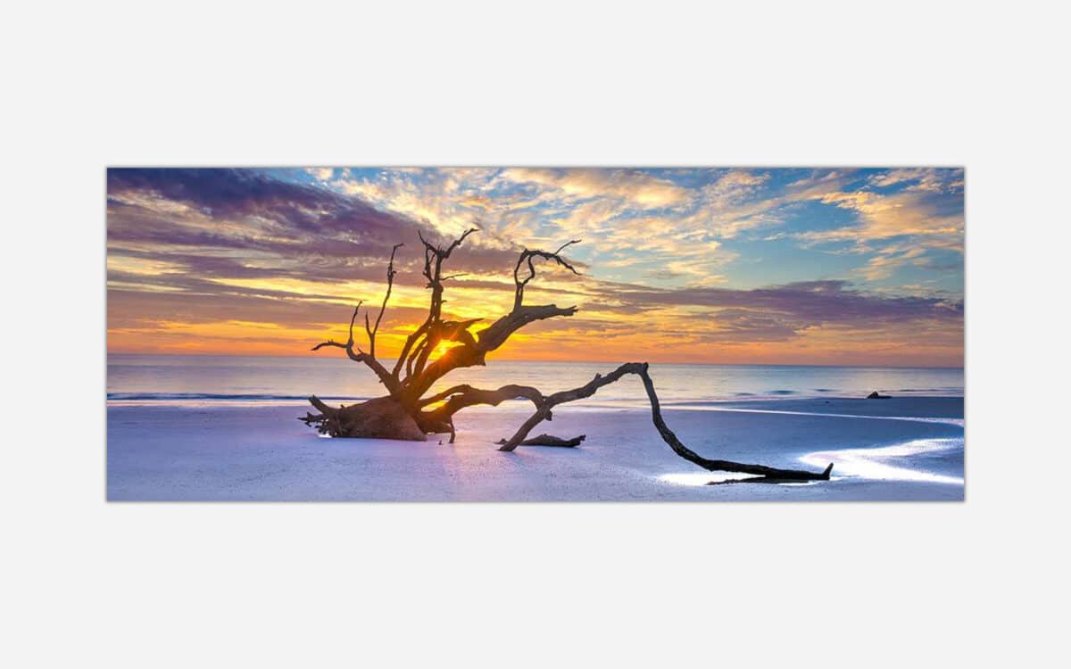 Alt text: A serene beach landscape at sunset featuring a striking piece of driftwood against a backdrop of colorful skies and calm ocean waters.