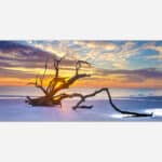 Alt text: A serene beach landscape at sunset featuring a striking piece of driftwood against a backdrop of colorful skies and calm ocean waters.